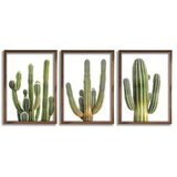 Wallity slika GE275, 3 dela, 35 x 47 cm Cene
