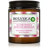 Air Wick Botanica Island Rose & African Geranium dišeča sveča z vonjem vrtnic 205 g