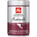 Illy kafa u zrnu arabica gvatemala 250g Cene