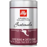 kafa u zrnu arabica gvatemala 250g