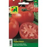 AUSTROSAAT Paradižnik "Zieglers Fleisch" Cene