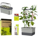 Gusta Garden CHARLY CHILI Starter Set - svetlo siva Cene