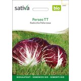 BIO radič Palla rossa "PerseoTT" - 1,25 g | Shoptok.si