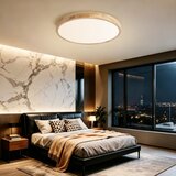 Brilagi prigušiva LED svetiljka WOODLINE LED/72W/230V 3000-6000K hrast prečnik 60 cm +daljinski upravljač | Eponuda.com