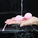 Lovetoy 2023 Vaginalne Kroglice Lovetoy Iwhizz Luna Pink | Shoptok.si