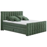 MID.YOU POSTELJA BOXSPRING 180 cm x 200 cm , tekstil, leseni material olivno zelena | Shoptok.si