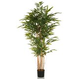MID.YOU Umetna Rastlina Bambus Ii | Shoptok.si