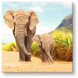  Slike na platnu ŽIVOTINJE_049-12 (moderne slike na platnu) | ePonuda.com