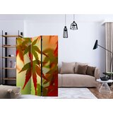  Paravan u 3 dijela - Colourful leaves [Room Dividers] 135x172 | shoptok.hr