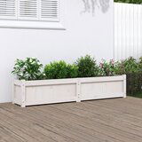 Maison Chic Vrtno cvetlično korito - Cvetlični Lonec belo 150x31x31 cm trdna borovina, (21790095) | Shoptok.si