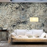  Samoljepljiva foto tapeta - Cracked Stone 294x210 Cijene