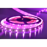 Mitea Lighting MLR-2835-60 pink led traka 5m 12V 4,8W 60 LED/1m IP20 Cene