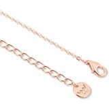 Vuch Pozlaćena srebrna ogrlica Solea Rose Gold, 45 + 5 cm | shoptok.hr