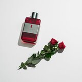 Antonio Banderas the Secret Temptation toaletna voda 100 ml za muškarce Cijene