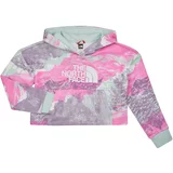 The North Face Girls Drew Peak Light Hoodie Multicolour
