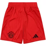 Adidas Športne hlače rdeča / črna