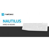 Nautilus, slim multimedia tastatura us, usb, bela | Eponuda.com