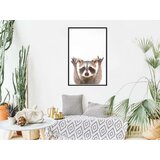  Poster - Funny Racoon 20x30 | shoptok.hr