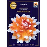 Royal De Ree Lukovica Georgina, dalija - Dahlia Dec. Orange Duet 1/1 | ePonuda.com