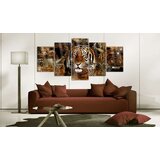  Slika na akrilnom staklu - Golden Jungle [Glass] 200x100 | shoptok.hr