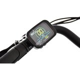 Capriolo e-bike e-city sivo-srebrno (19) ( 925810 ) | Eponuda.com