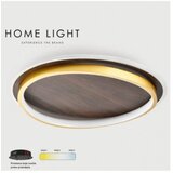 Vesta 524 PLAFONSKA SVETILJKA 36W 3000/4500/6000K TAMNO DRVO/ZLATO (O 400) | Eponuda.com