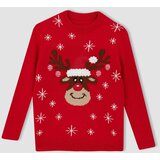 Defacto Boy's New Year Themed Crew Neck Sweater | Eponuda.ba