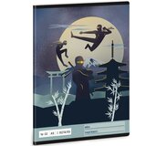 Ars Una Ninje u mraku bilježnica s crtama za 2. razred A/5 16-32 | shoptok.hr