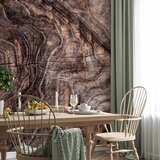  Foto tapeta - Signs of the times - an abstract background with the wrinkled bark of an old tree 500x350 Premium | shoptok.hr