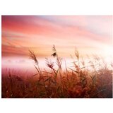  Tapeta - Morning meadow 350x270 | shoptok.hr