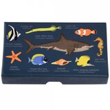 REX International Pečati - Ocean Animals | ePonuda.com