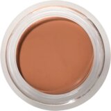 100% Pure Fruit Pigments Long Last Concealer + Super Fruits - 5 g Cene