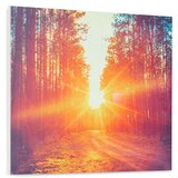 Klarstein Wonderwall Air Art Infinite, infracrvena grijalica, slika, 60 x 50 cm, 300 W, na zidu, daljinski upravljač | shoptok.hr