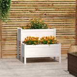 Maison Chic Visoka greda - Greda - Cvetlični Lonec bela 84,5x84x75 cm trdna borovina, (21789246) | Shoptok.si