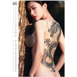  Tattoo Girls 2027 - erotični stenski koledar (10 kos) | Shoptok.si