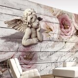  Tapeta - Angel and Calm 100x70 Cijene