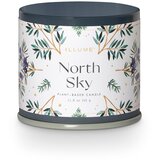 ILLUME x Bloomingville Dišeča sveča iz sojinega voska čas gorenja 50 h North Sky – | Shoptok.si