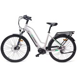Ms ENERGY eBike c100 električni bicikl | ePonuda.com