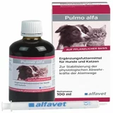  Pulmo Alfa, sirup za izkašljevanje za pse in mačke