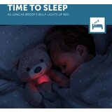 Zazu plišasta glasbena nočna lučka sleeptrainer brody the bear taupe | Shoptok.si