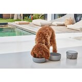 MiaCara Silikonski putni set posuda za pse ø 19 cm Bento Concrete/Slate – | shoptok.hr
