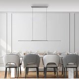  LED visilica Surface platinum PAUL NEUHAUS | Eponuda.com