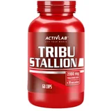 tribu stallion (60 kapsula)