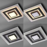 Just LIGHT. 14439-21 - LED plafonsko svetlo CICHIO LED/18,5W/230V + LED/9W crna Slike