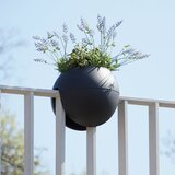 rephorm Lonec za ograjo "Bloomball" - Grafit (antracit) Cene