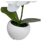Casa Selección Umjetne biljke u setu 3 kom (visina 15 cm) Orchid – | shoptok.hr