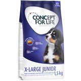 Concept for Life X-Large Junior - 1,5 kg Cene