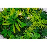 BOLZZ zeleni zid 3D forest 50X50 cm bolzzidforest u