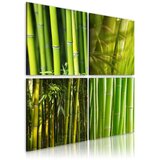 Slika - Bamboos 90x90 Cijene
