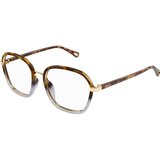 Chloe CH0309O 003 ONE SIZE (54) Havana/Kristalna | Shoptok.si